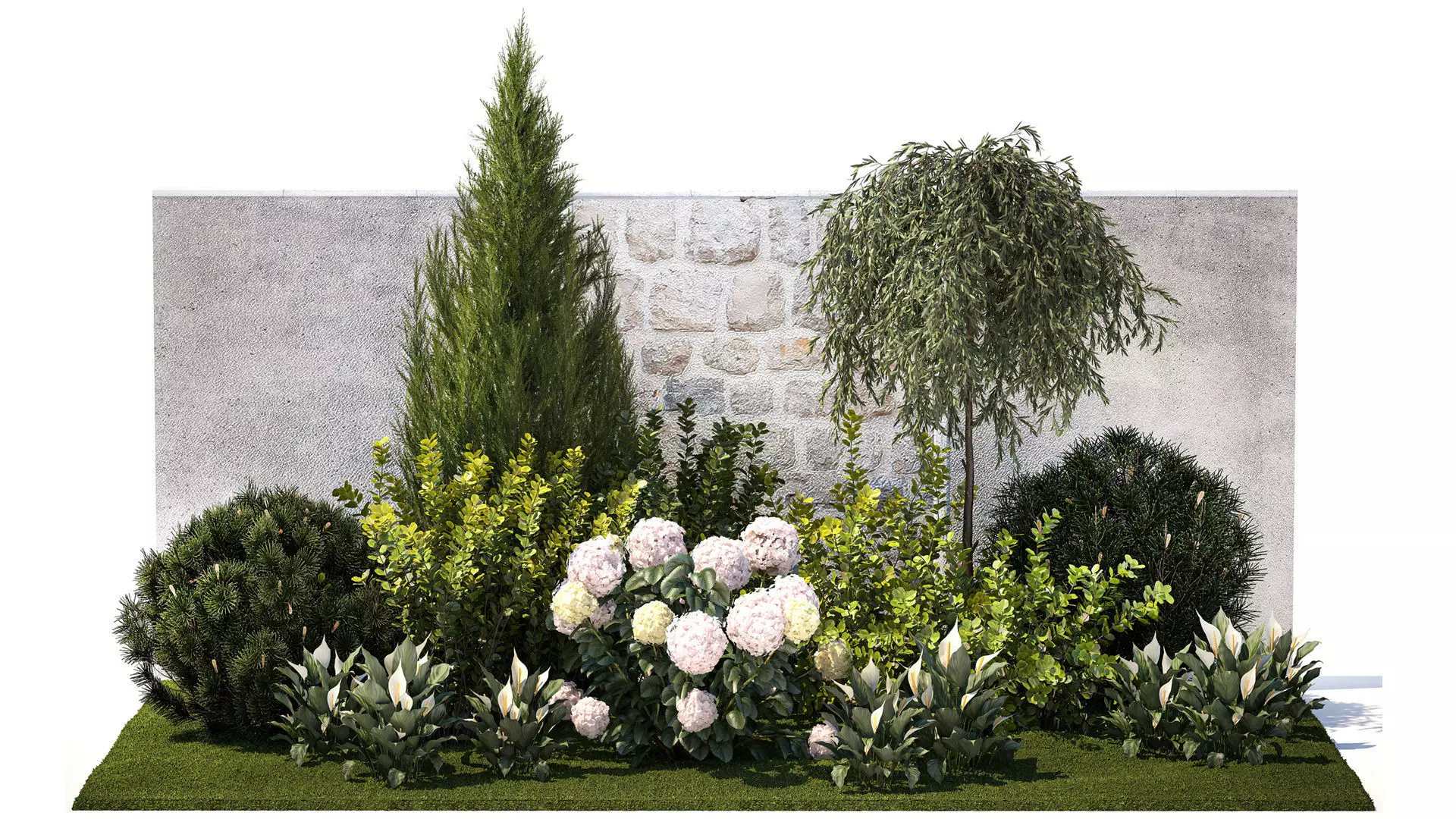 Garden Spathiphyllum Thuja Hydrangea Berberis 1399 3D model_0