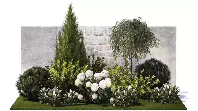 Garden Spathiphyllum Thuja Hydrangea Berberis 1399