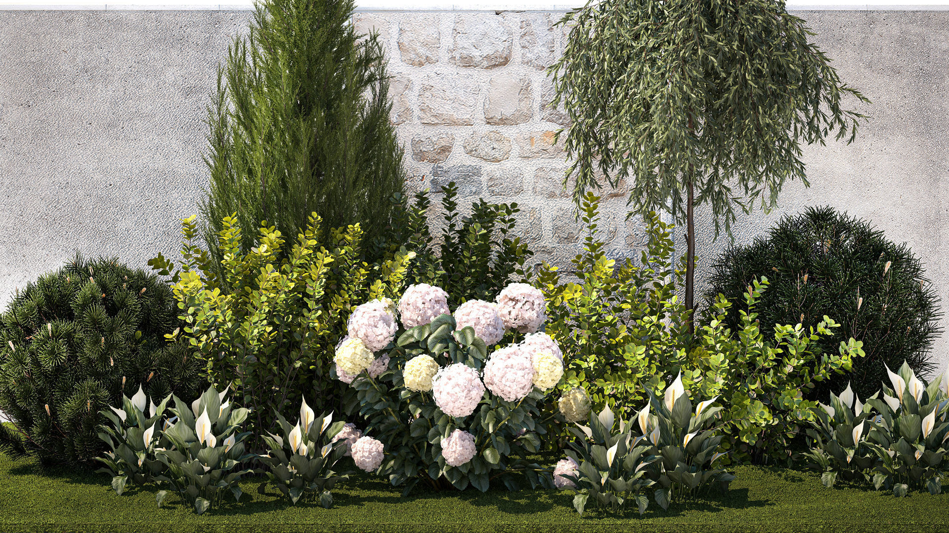 Garden Spathiphyllum Thuja Hydrangea Berberis 1399 3D model_1