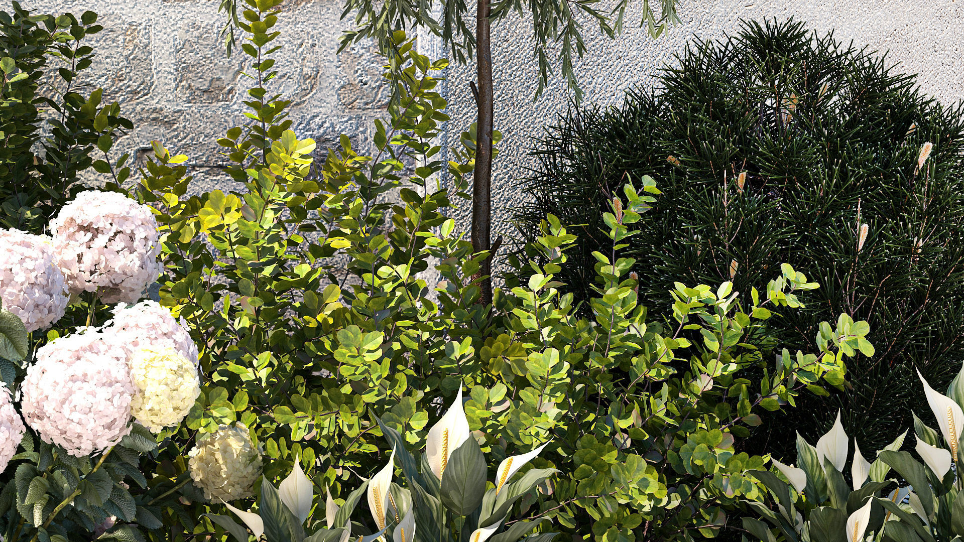 Garden Spathiphyllum Thuja Hydrangea Berberis 1399 3D model_3