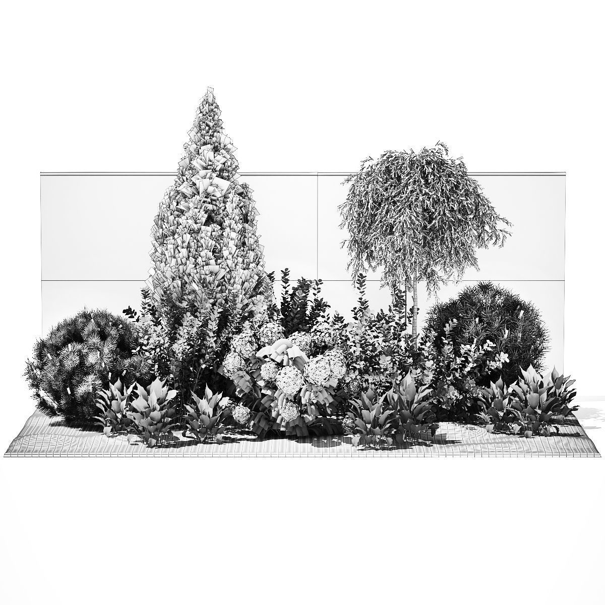 Garden Spathiphyllum Thuja Hydrangea Berberis 1399 3D model_13