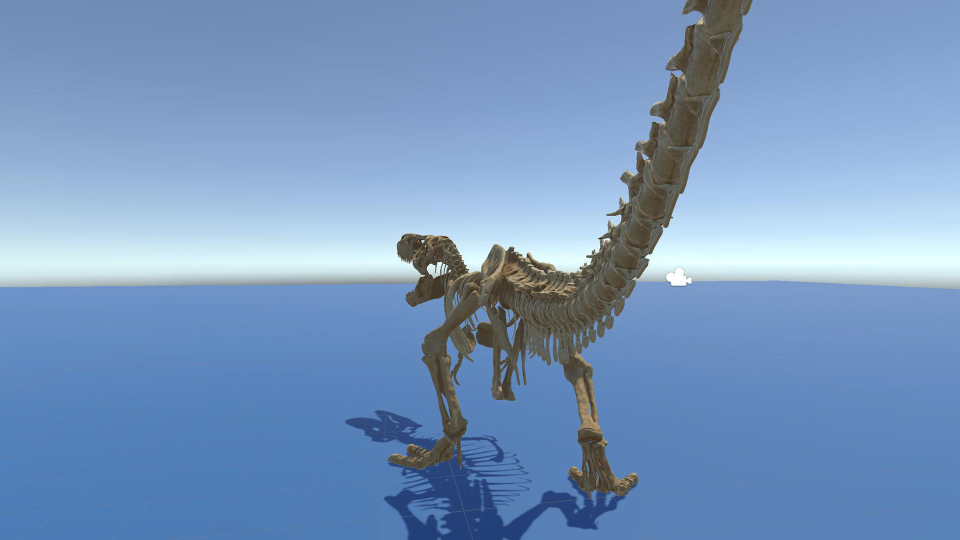 Dinosaur Tyrannosaurus Rex Sue Skeleton -UnrealEngine and Unity  Low-poly 3D model_27