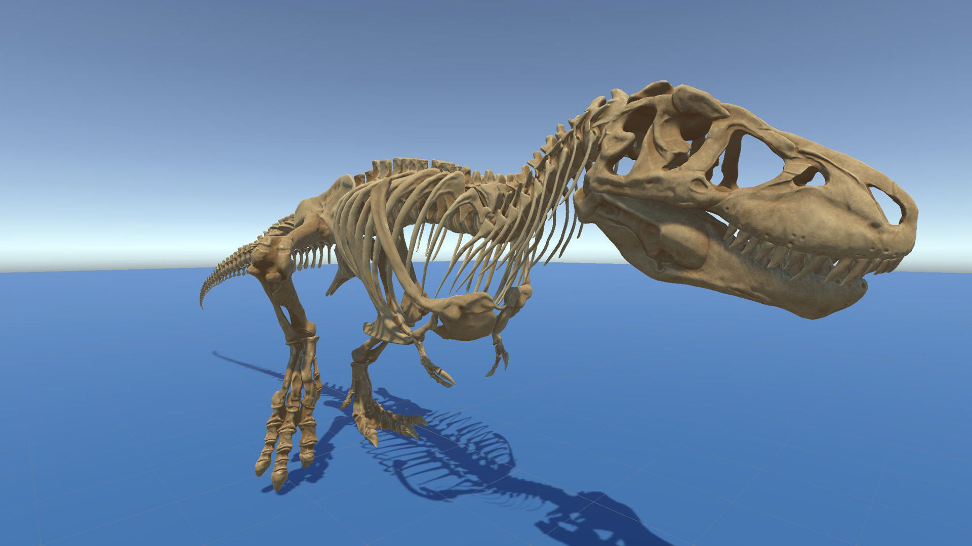 Dinosaur Tyrannosaurus Rex Sue Skeleton -UnrealEngine and Unity  Low-poly 3D model_31