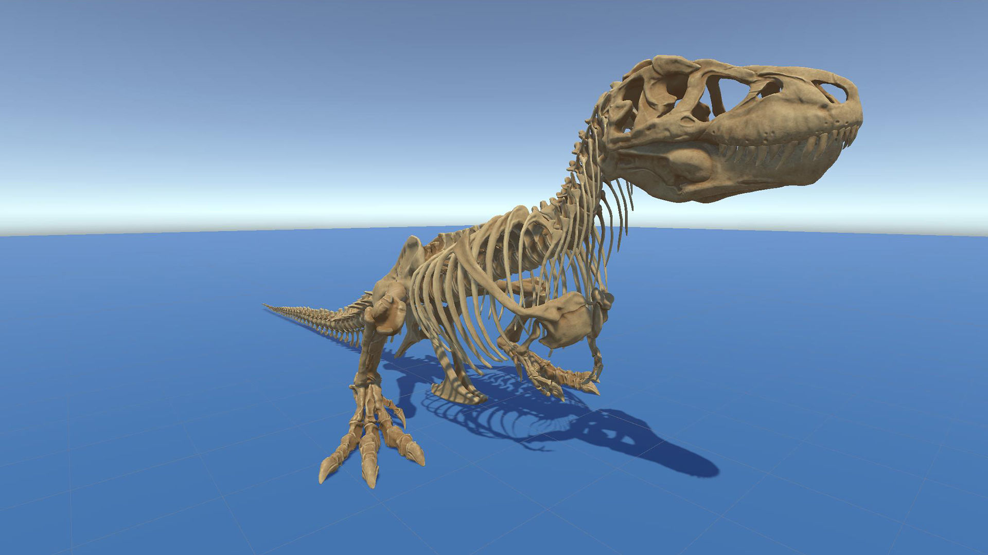 Dinosaur Tyrannosaurus Rex Sue Skeleton -UnrealEngine and Unity  Low-poly 3D model_26