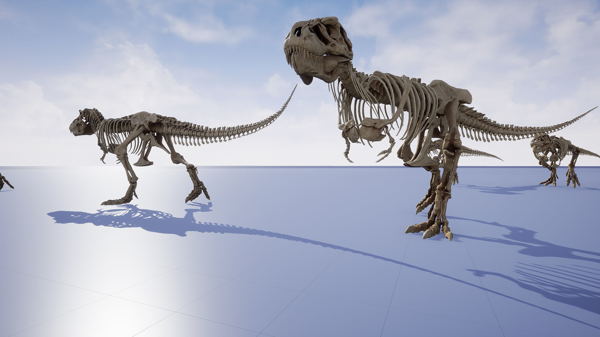 Dinosaur Tyrannosaurus Rex Sue Skeleton -UnrealEngine and Unity  Low-poly 3D model_20