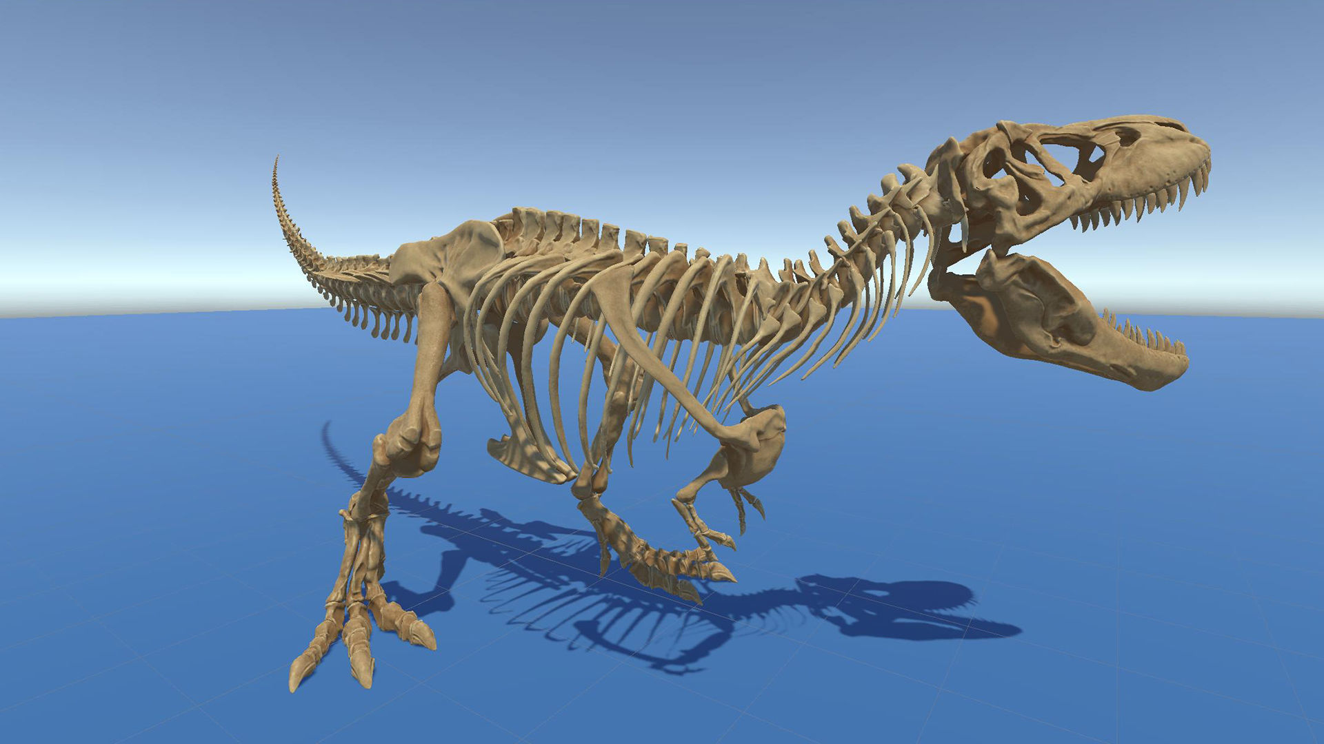 Dinosaur Tyrannosaurus Rex Sue Skeleton -UnrealEngine and Unity  Low-poly 3D model_28