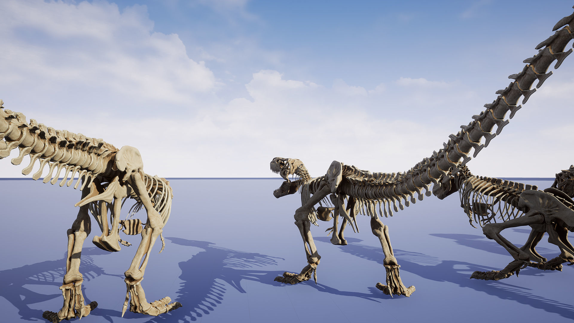 Dinosaur Tyrannosaurus Rex Sue Skeleton -UnrealEngine and Unity  Low-poly 3D model_10