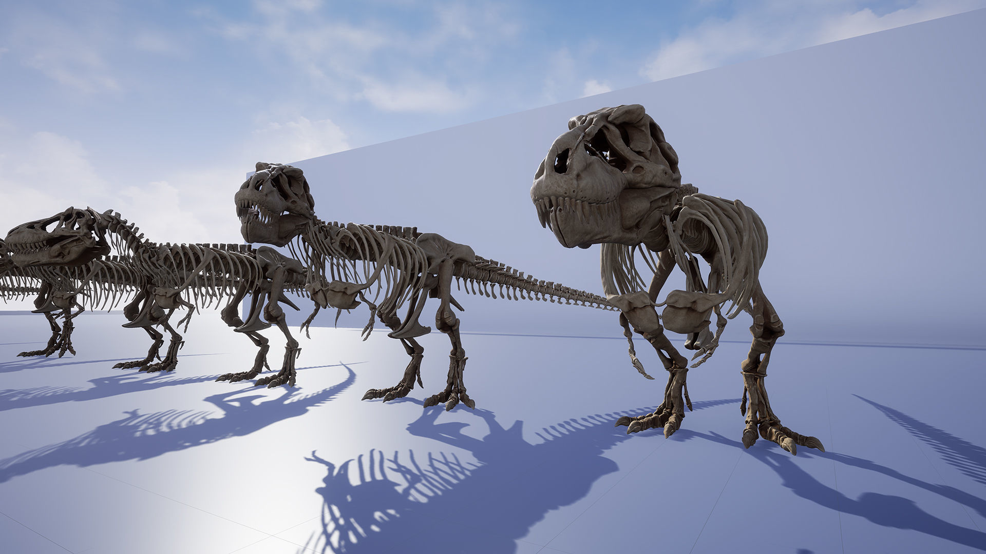 Dinosaur Tyrannosaurus Rex Sue Skeleton -UnrealEngine and Unity  Low-poly 3D model_14