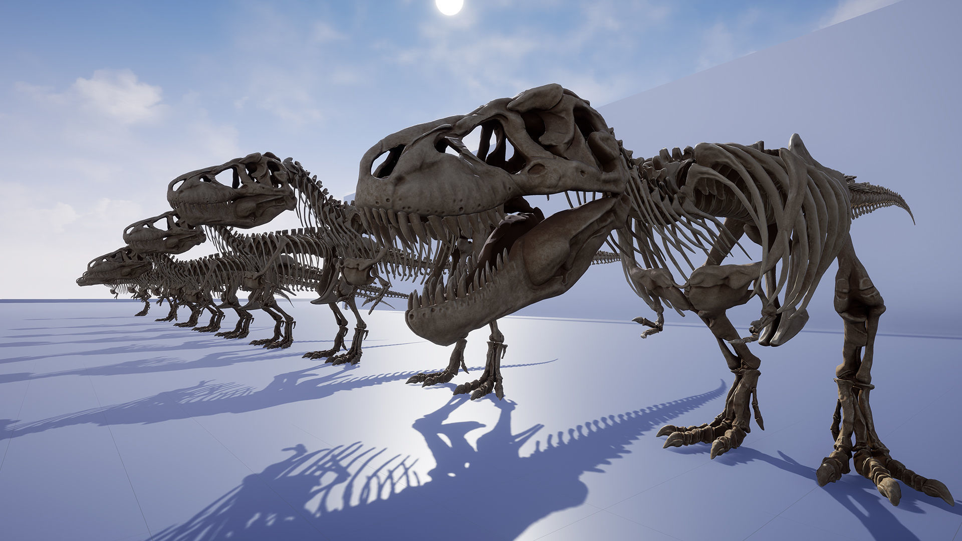 Dinosaur Tyrannosaurus Rex Sue Skeleton -UnrealEngine and Unity  Low-poly 3D model_13
