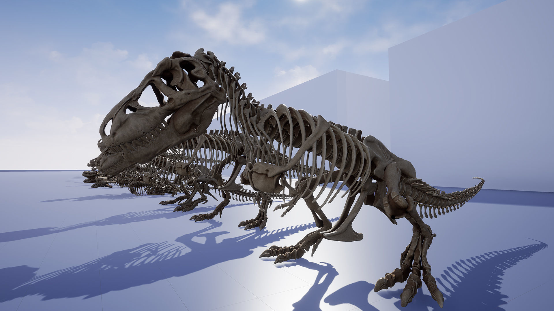 Dinosaur Tyrannosaurus Rex Sue Skeleton -UnrealEngine and Unity  Low-poly 3D model_11
