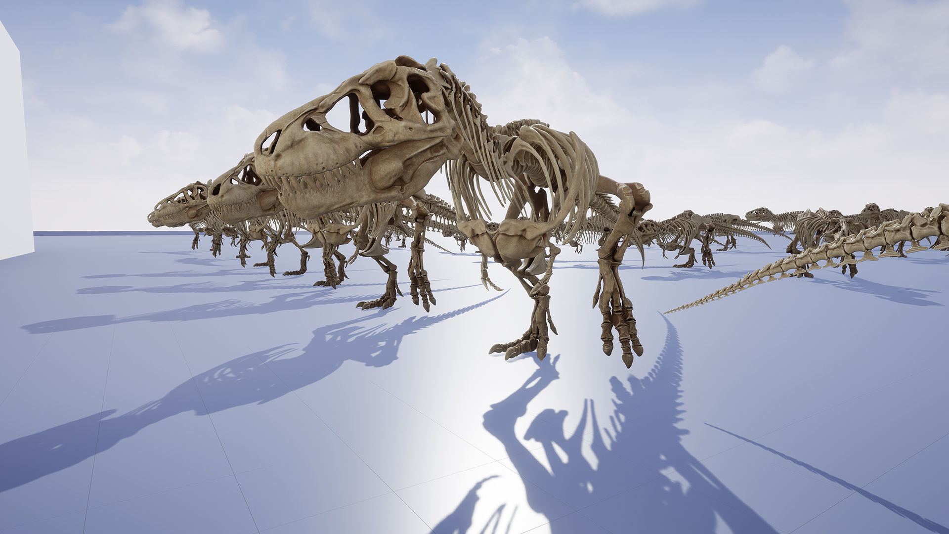Dinosaur Tyrannosaurus Rex Sue Skeleton -UnrealEngine and Unity  Low-poly 3D model_16