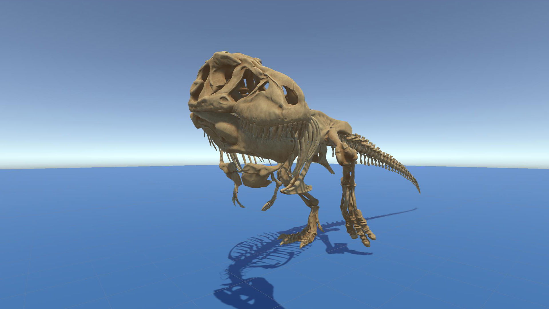 Dinosaur Tyrannosaurus Rex Sue Skeleton -UnrealEngine and Unity  Low-poly 3D model_22