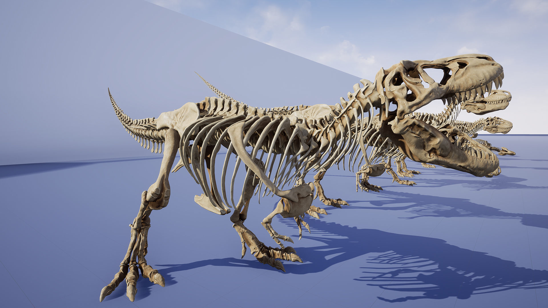 Dinosaur Tyrannosaurus Rex Sue Skeleton -UnrealEngine and Unity  Low-poly 3D model_9