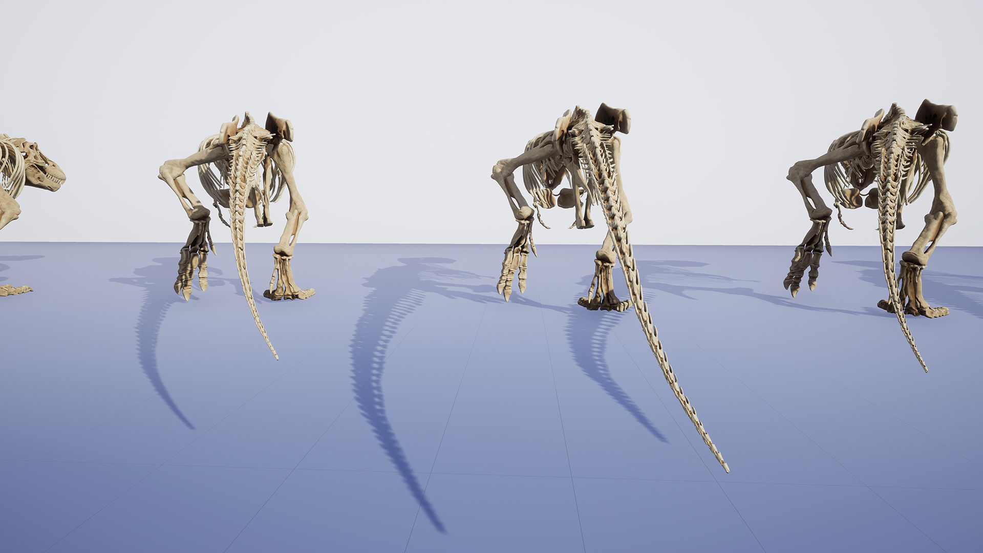 Dinosaur Tyrannosaurus Rex Sue Skeleton -UnrealEngine and Unity  Low-poly 3D model_18