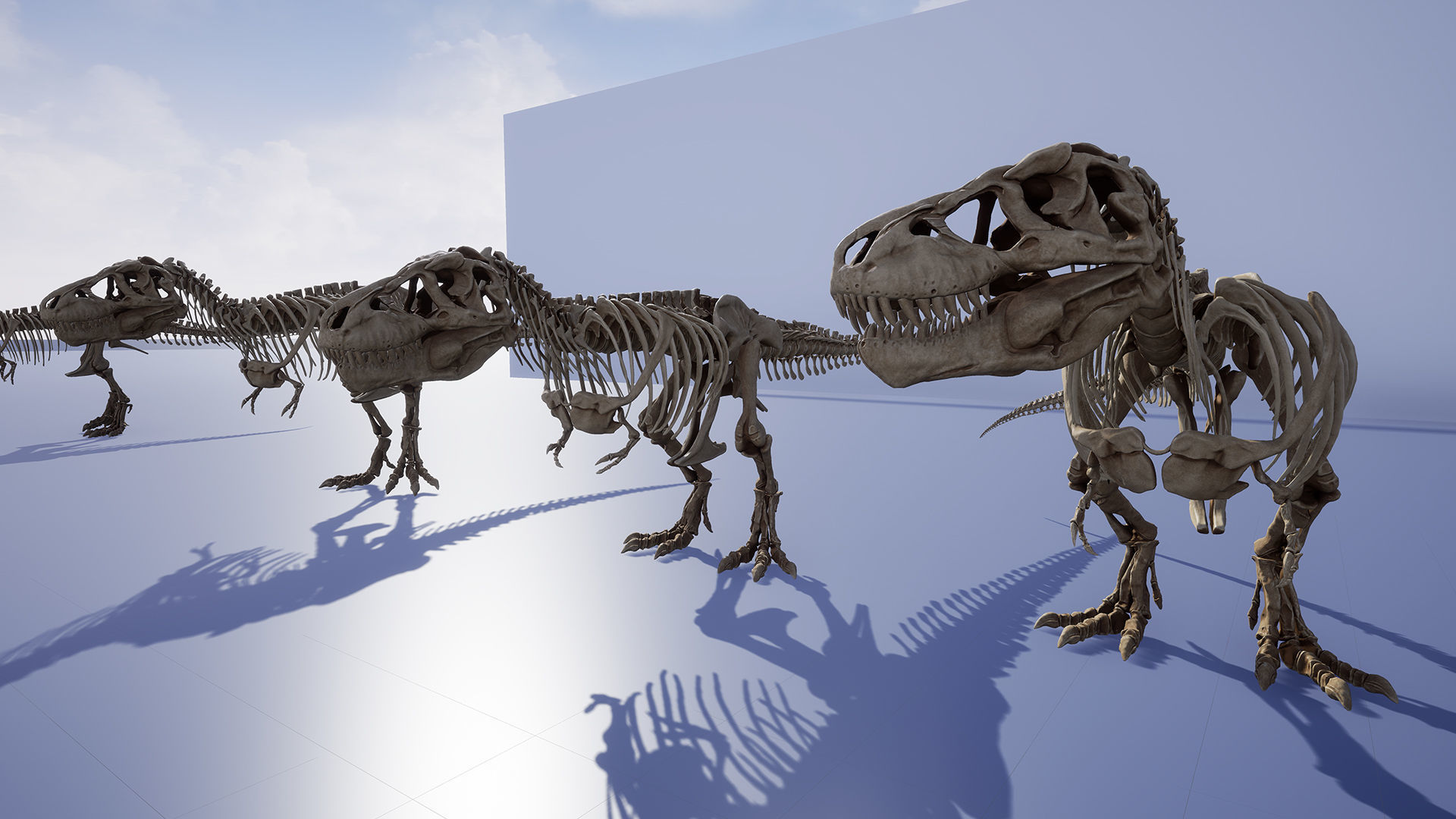 Dinosaur Tyrannosaurus Rex Sue Skeleton -UnrealEngine and Unity  Low-poly 3D model_15