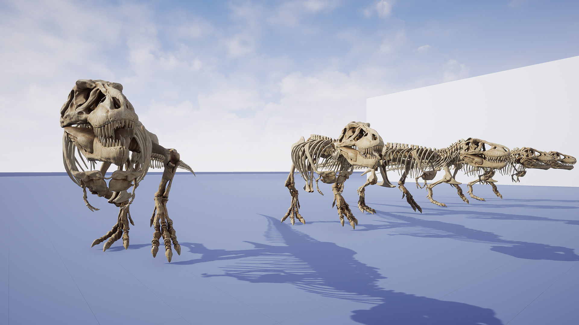 Dinosaur Tyrannosaurus Rex Sue Skeleton -UnrealEngine and Unity  Low-poly 3D model_21