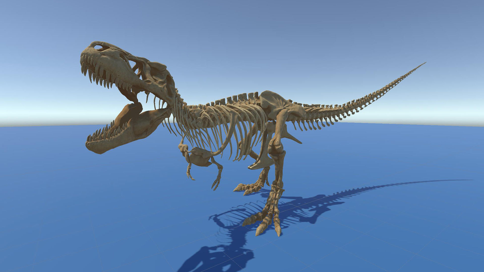 Dinosaur Tyrannosaurus Rex Sue Skeleton -UnrealEngine and Unity  Low-poly 3D model_29