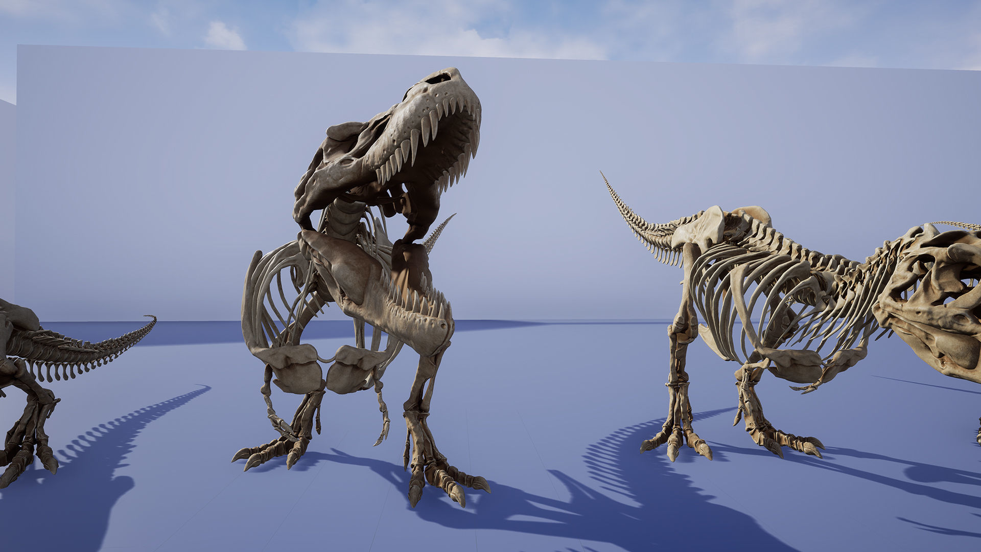 Dinosaur Tyrannosaurus Rex Sue Skeleton -UnrealEngine and Unity  Low-poly 3D model_8