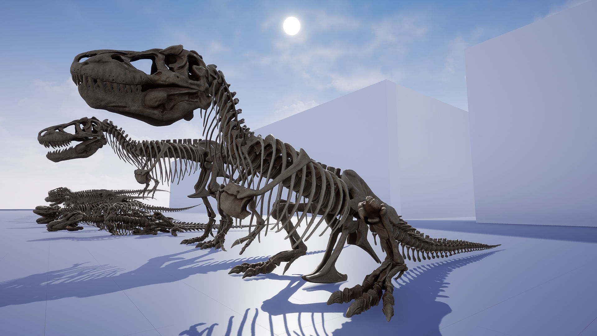 Dinosaur Tyrannosaurus Rex Sue Skeleton -UnrealEngine and Unity  Low-poly 3D model_12
