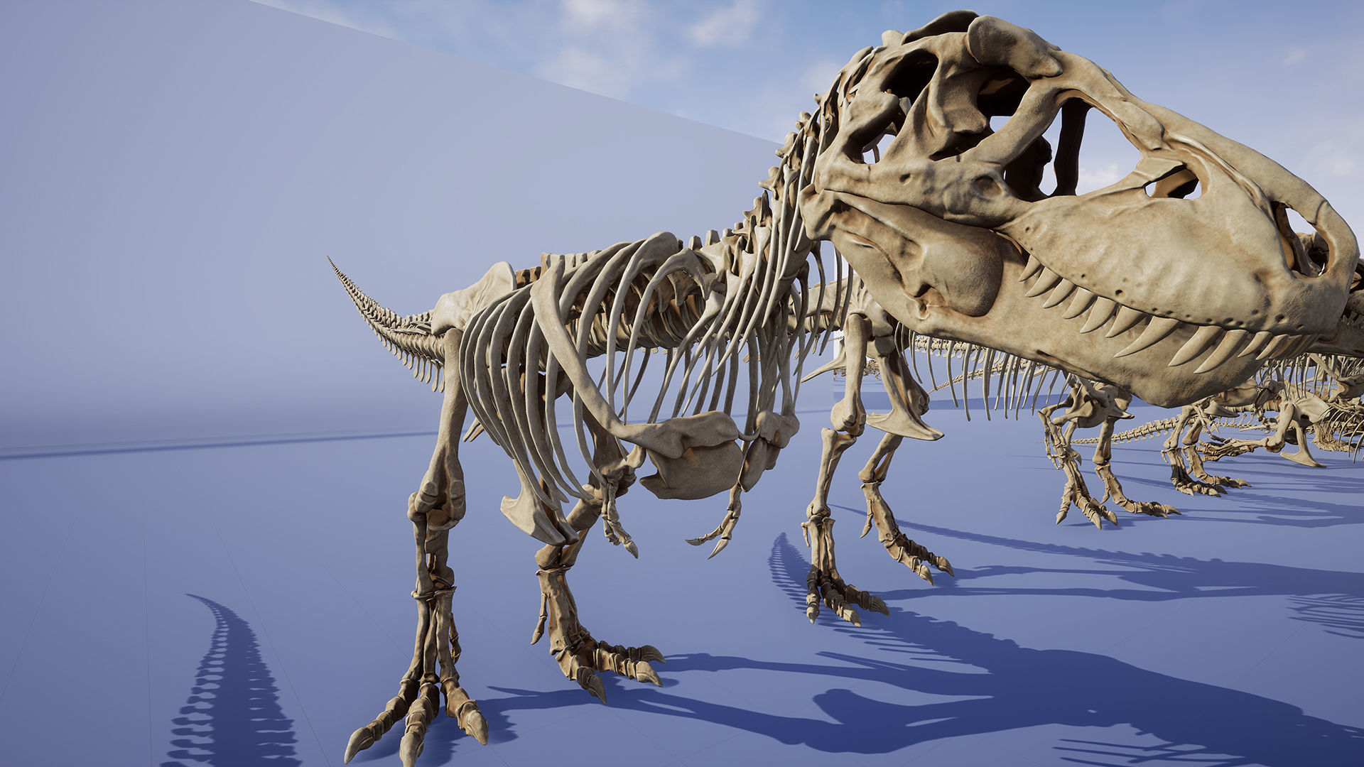 Dinosaur Tyrannosaurus Rex Sue Skeleton -UnrealEngine and Unity  Low-poly 3D model_7