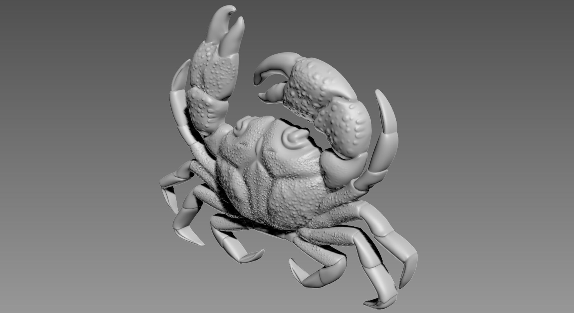 Crab Relief 3D model_7