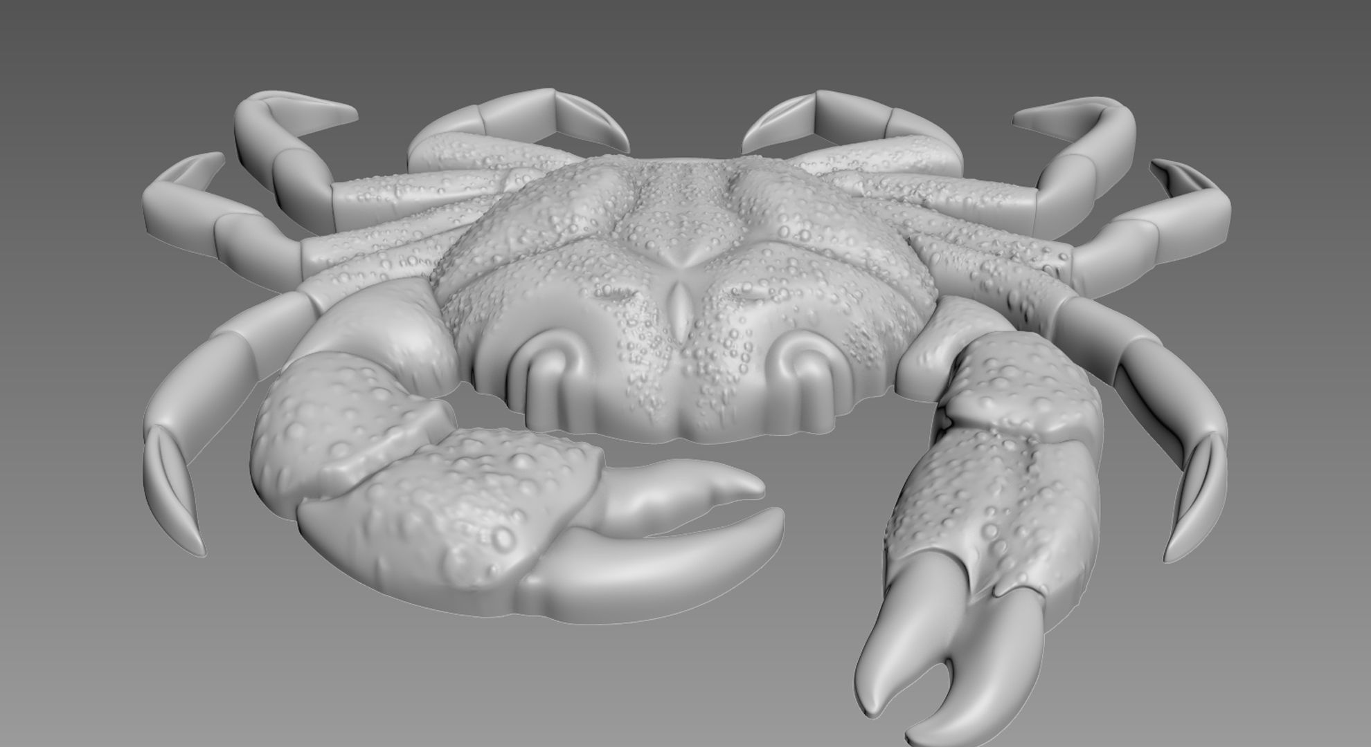 Crab Relief 3D model_6