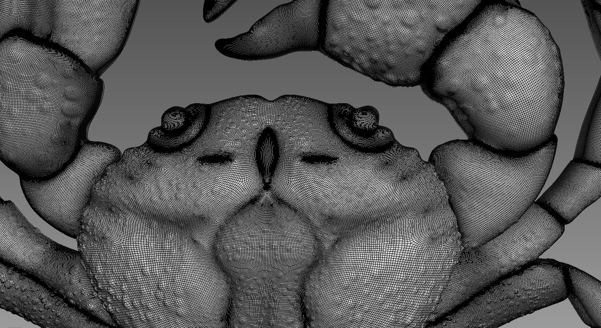 Crab Relief 3D model_8