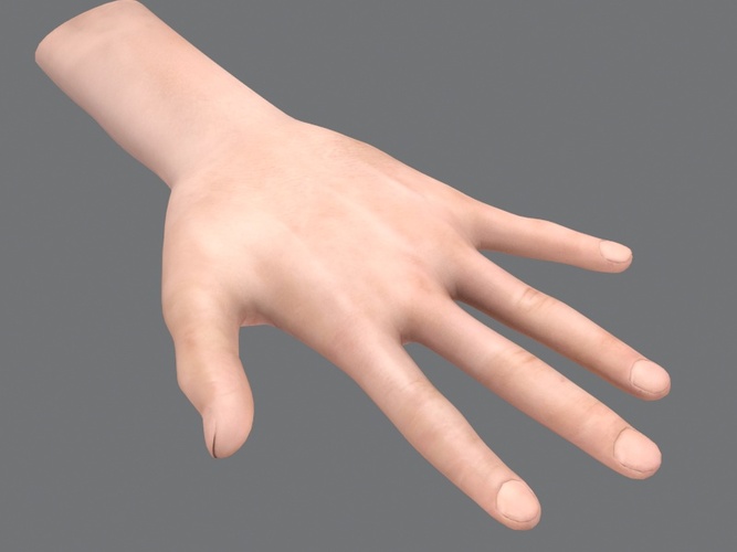 Rigged Hand 3D model