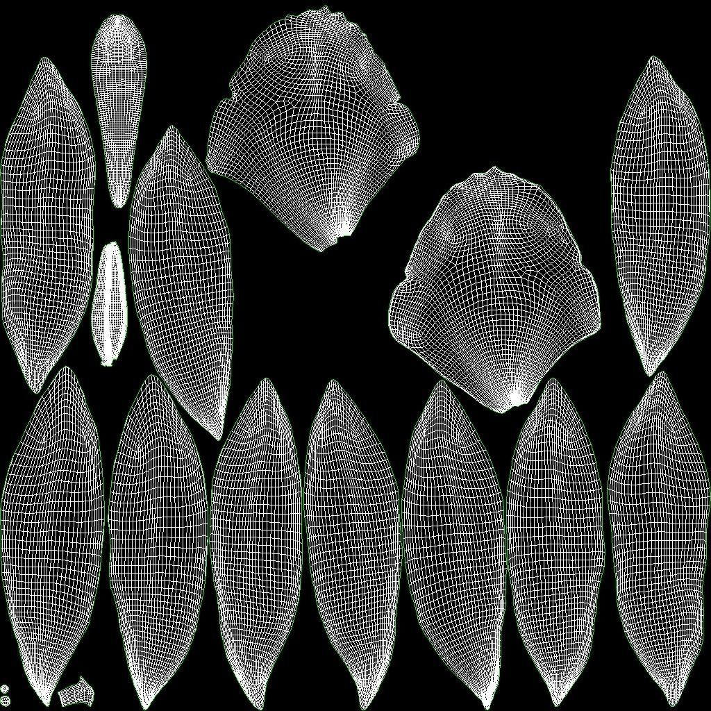 Vanilla Flower Low-poly 3D model_18