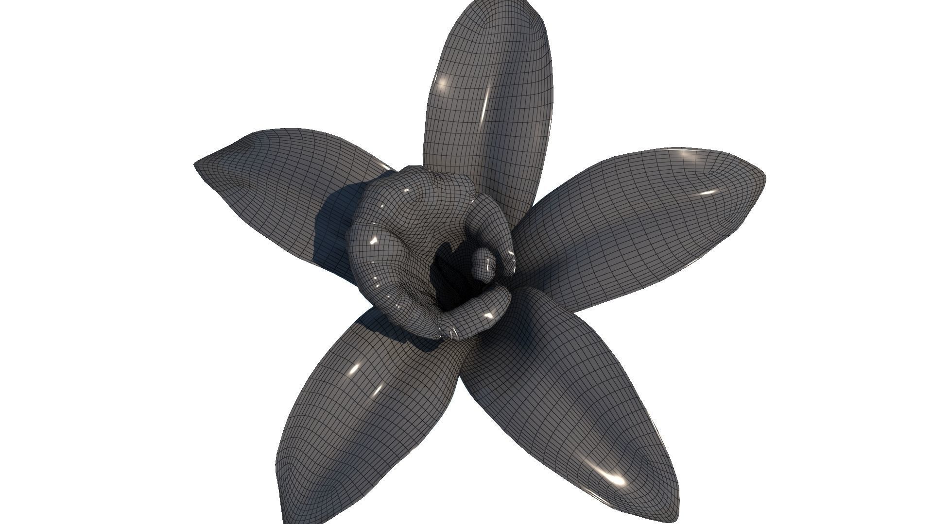 Vanilla Flower Low-poly 3D model_17