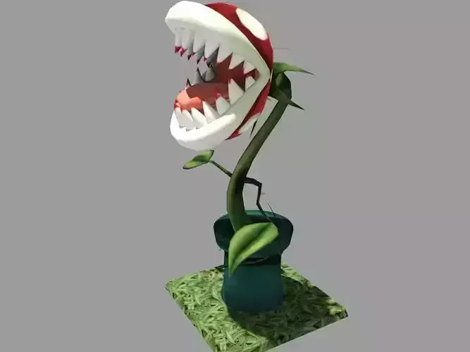 Carnivorous Plant