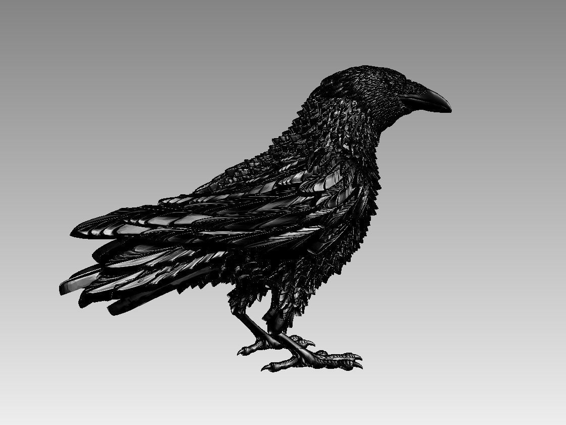 bird 08 3D print model_13