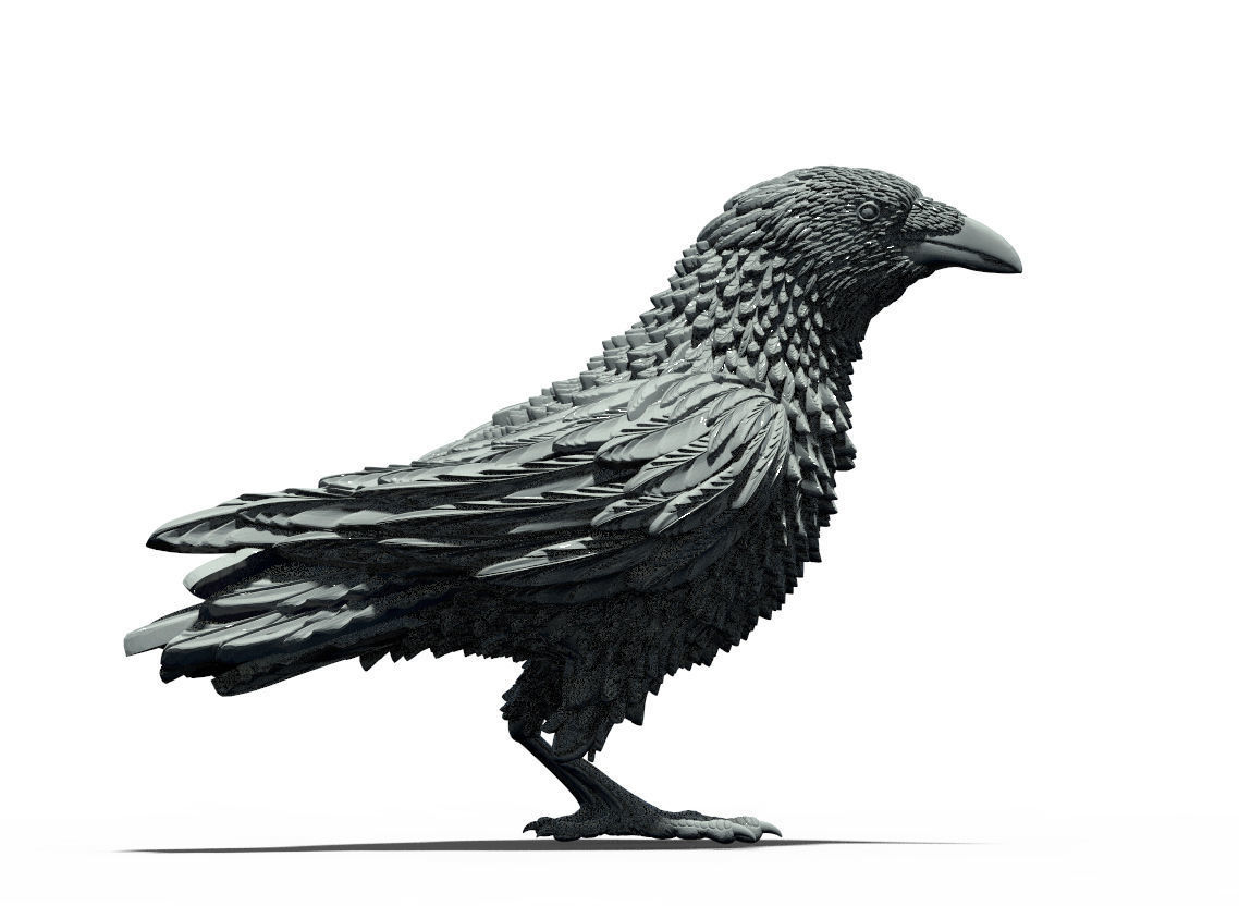 bird 08 3D print model_2