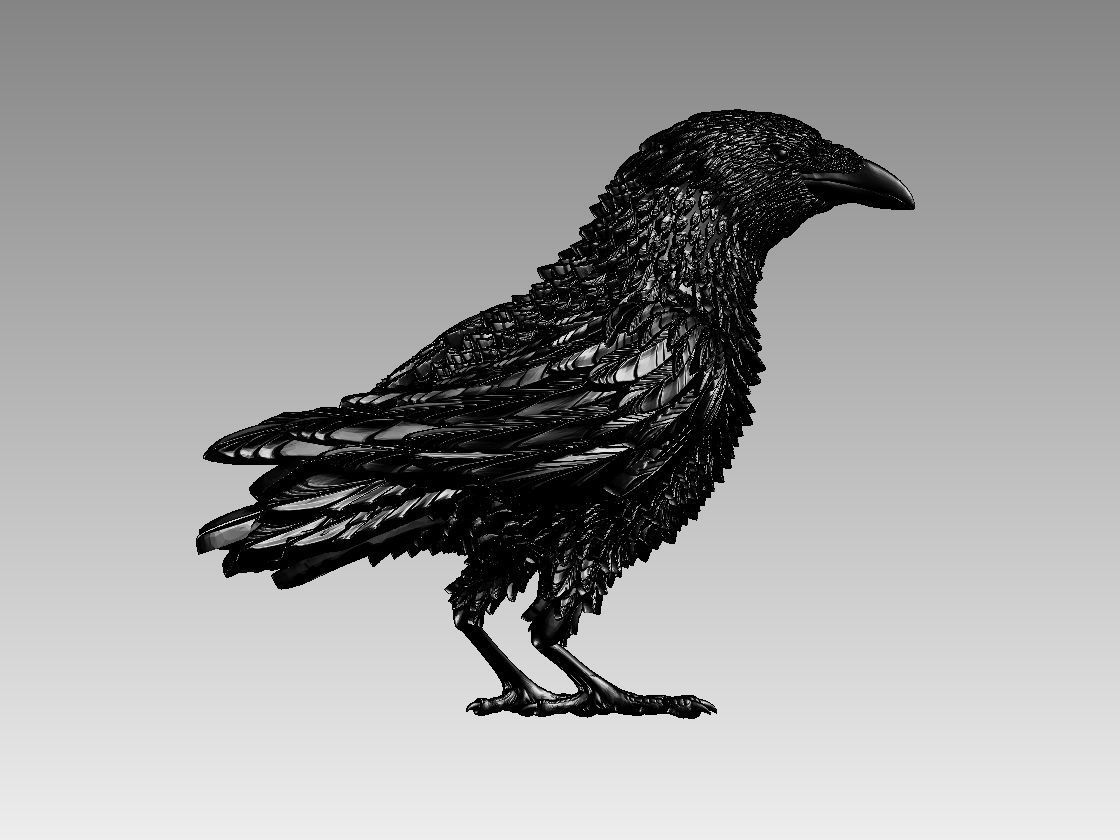 bird 08 3D print model_17