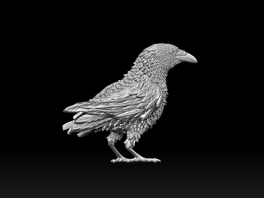 bird 08 3D print model_10