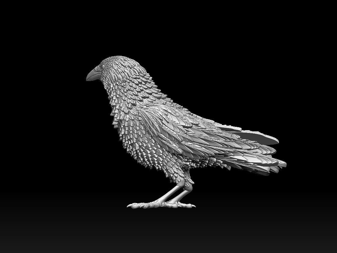 bird 08 3D print model_8