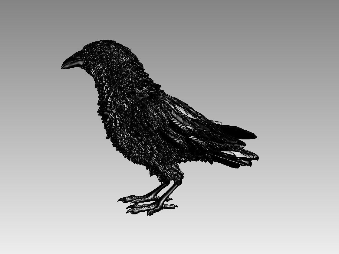 bird 08 3D print model_19