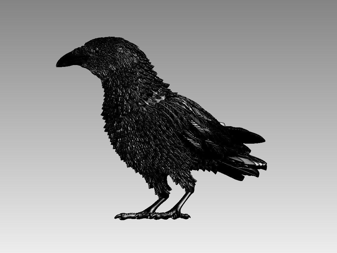 bird 08 3D print model_11
