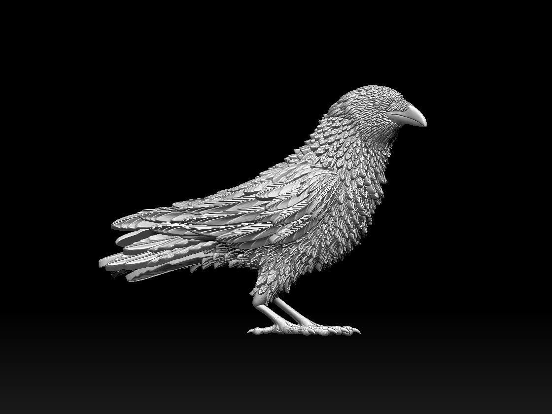 bird 08 3D print model_6