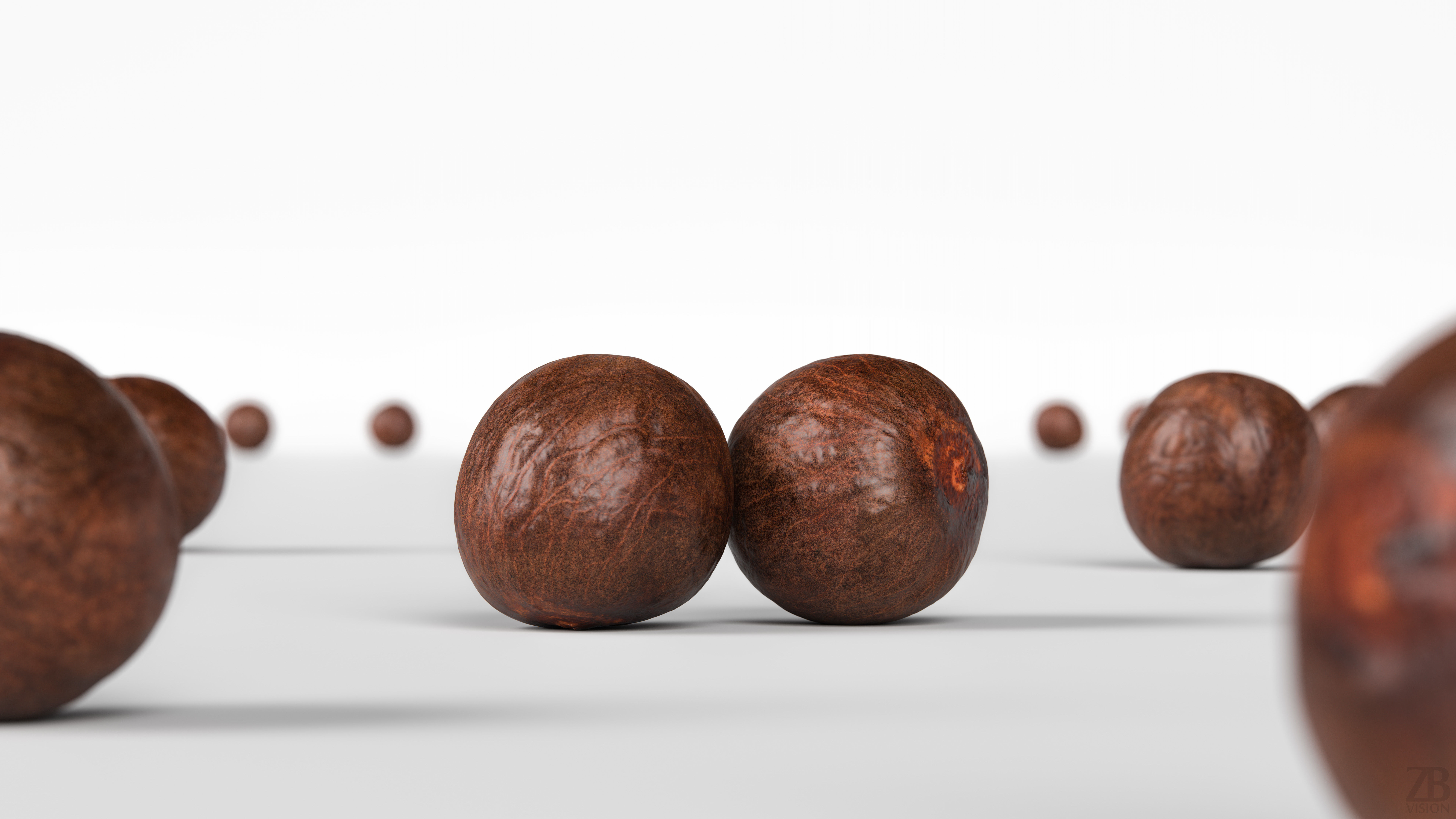 Avocado Seed 3D model_1
