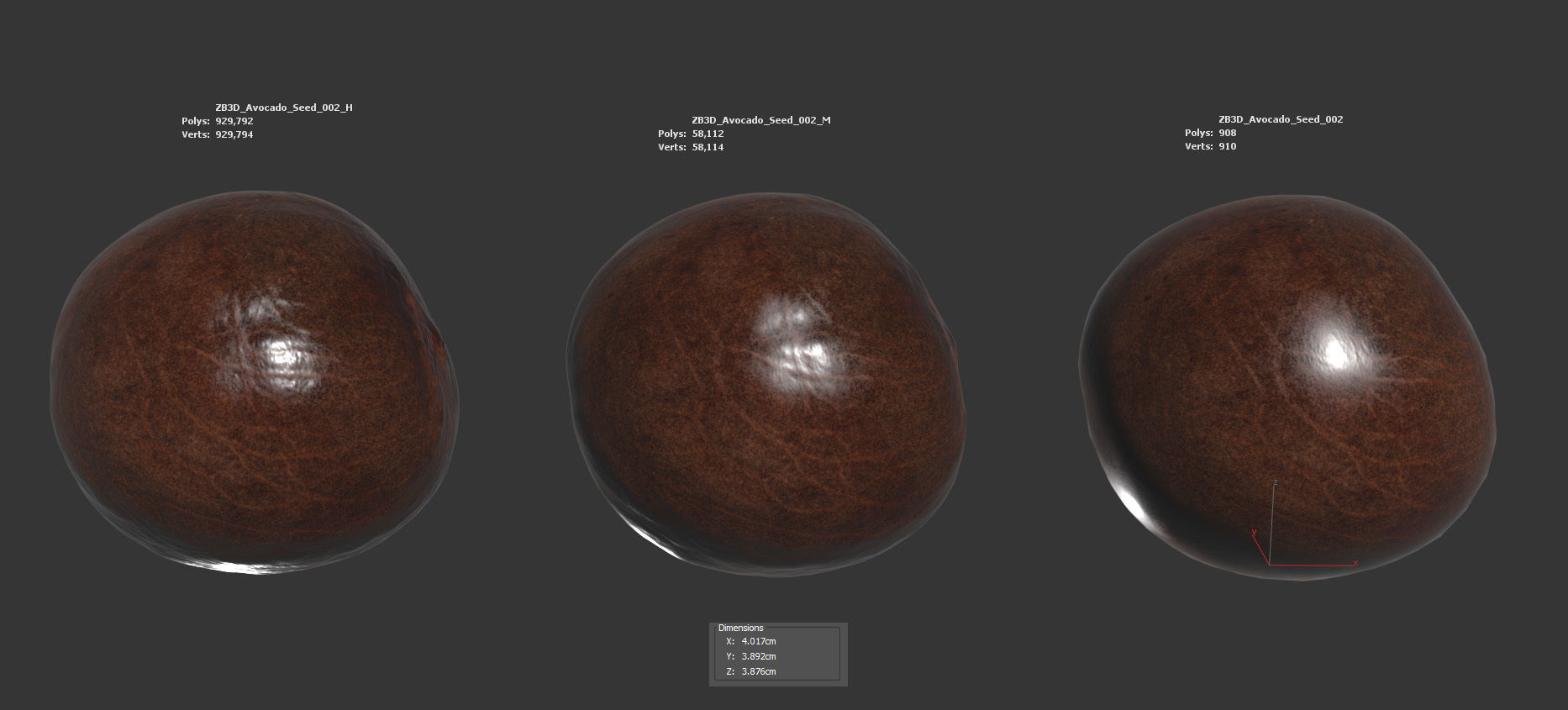 Avocado Seed 3D model_5