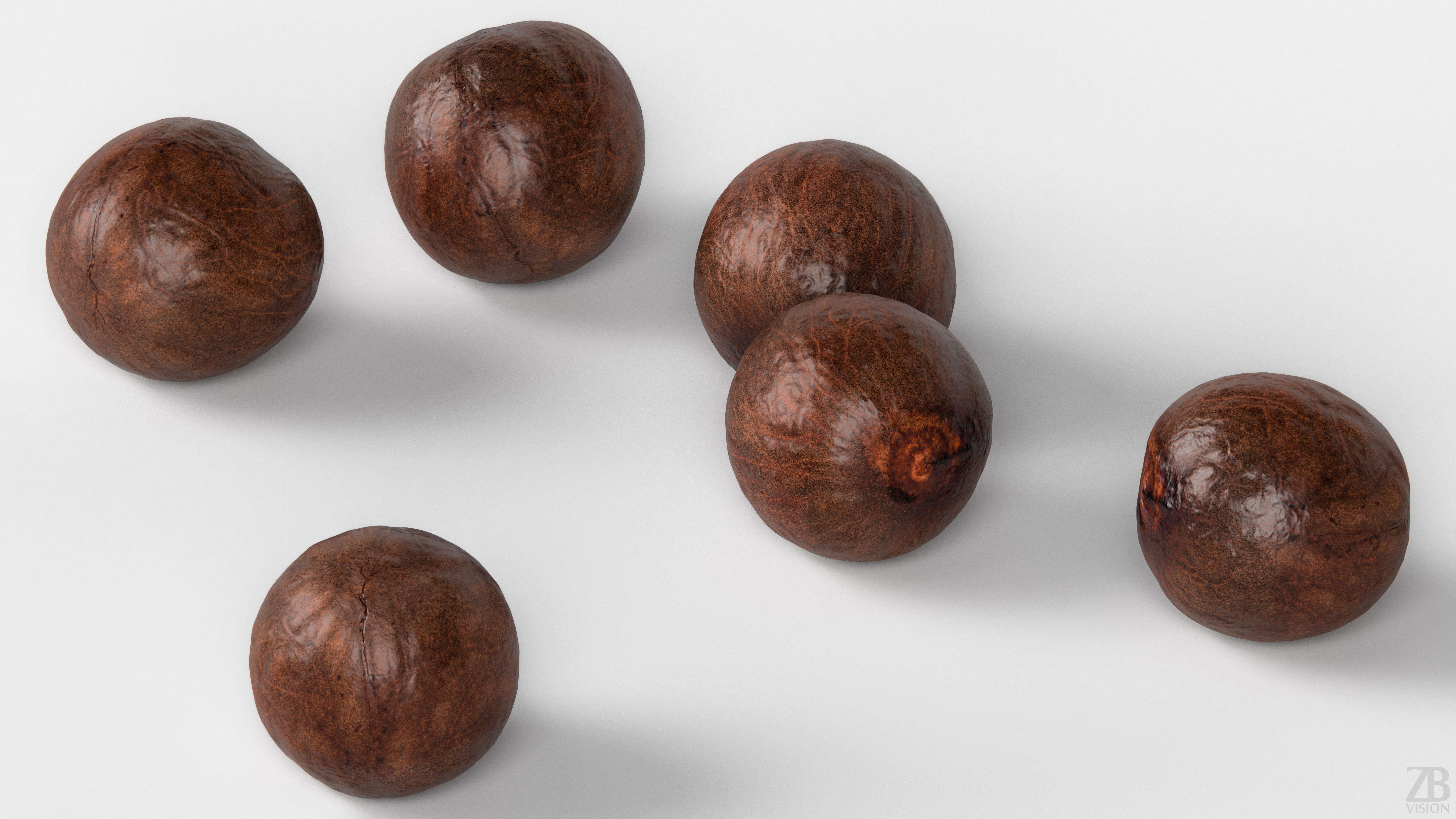 Avocado Seed 3D model_2