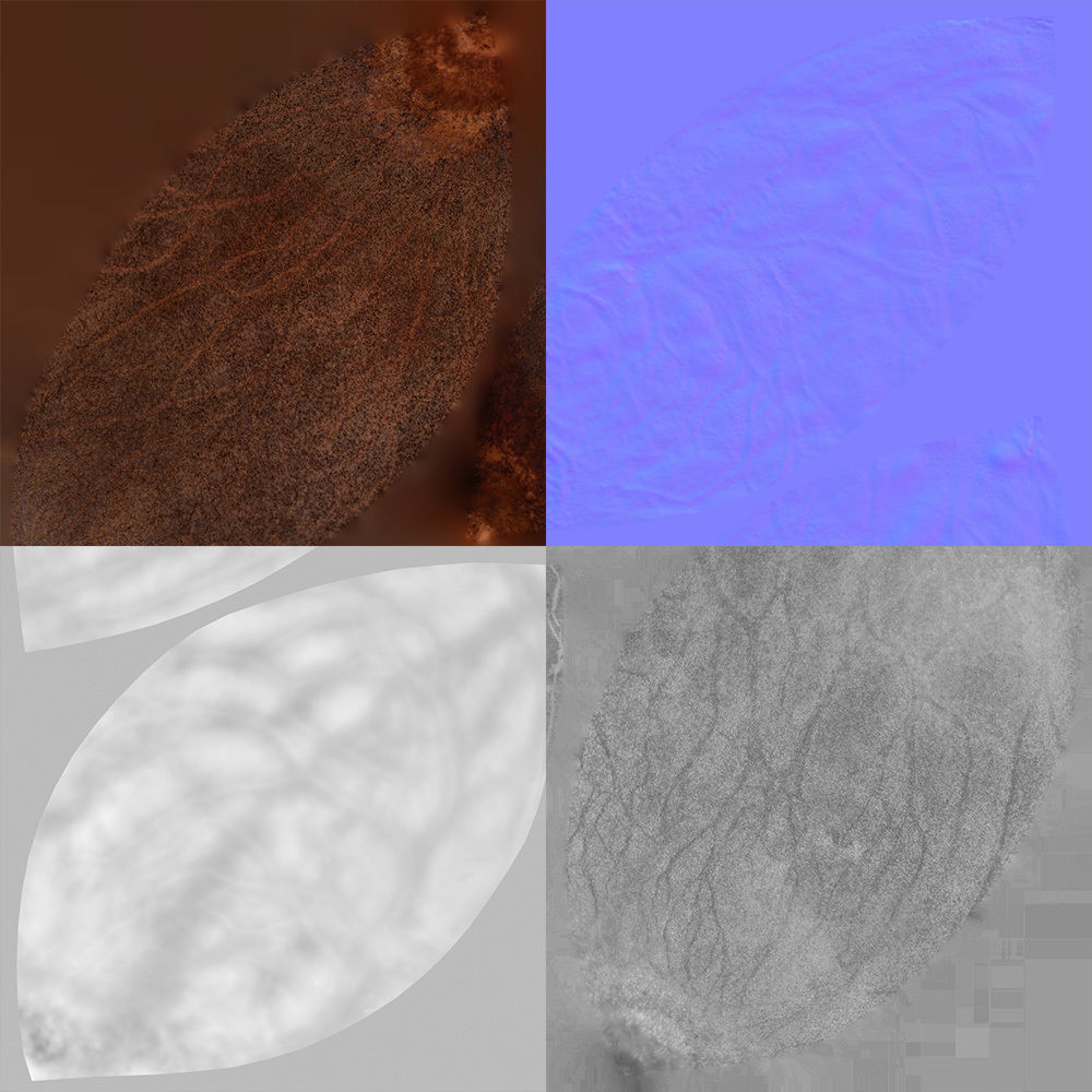 Avocado Seed 3D model_8