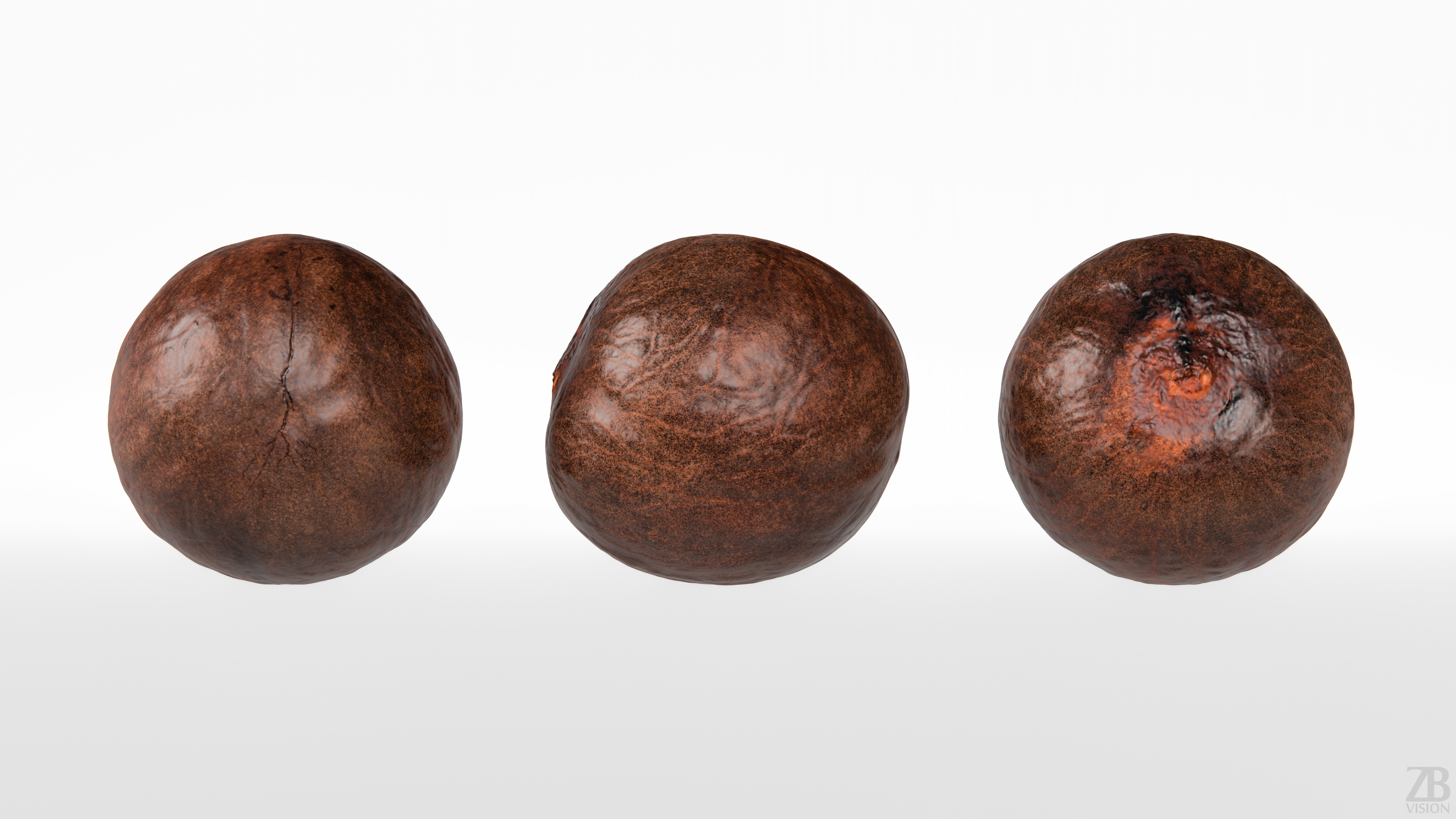 Avocado Seed 3D model_4