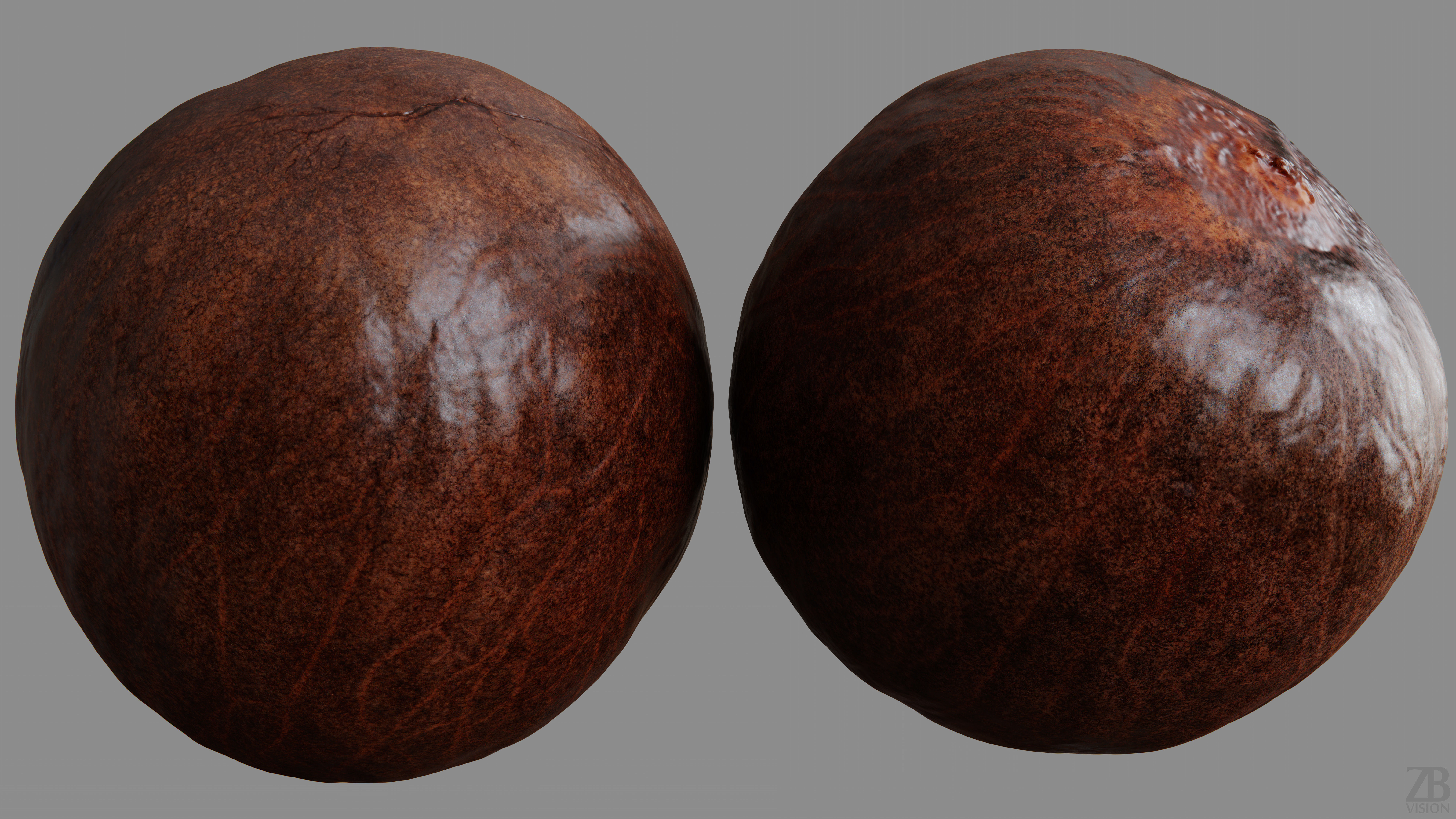 Avocado Seed 3D model_9