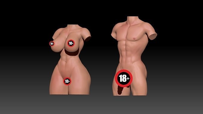 Woman and Man Torso  3D print model