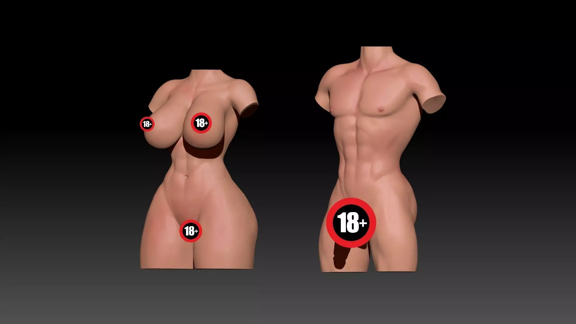 Woman and Man Torso  3D print model_0