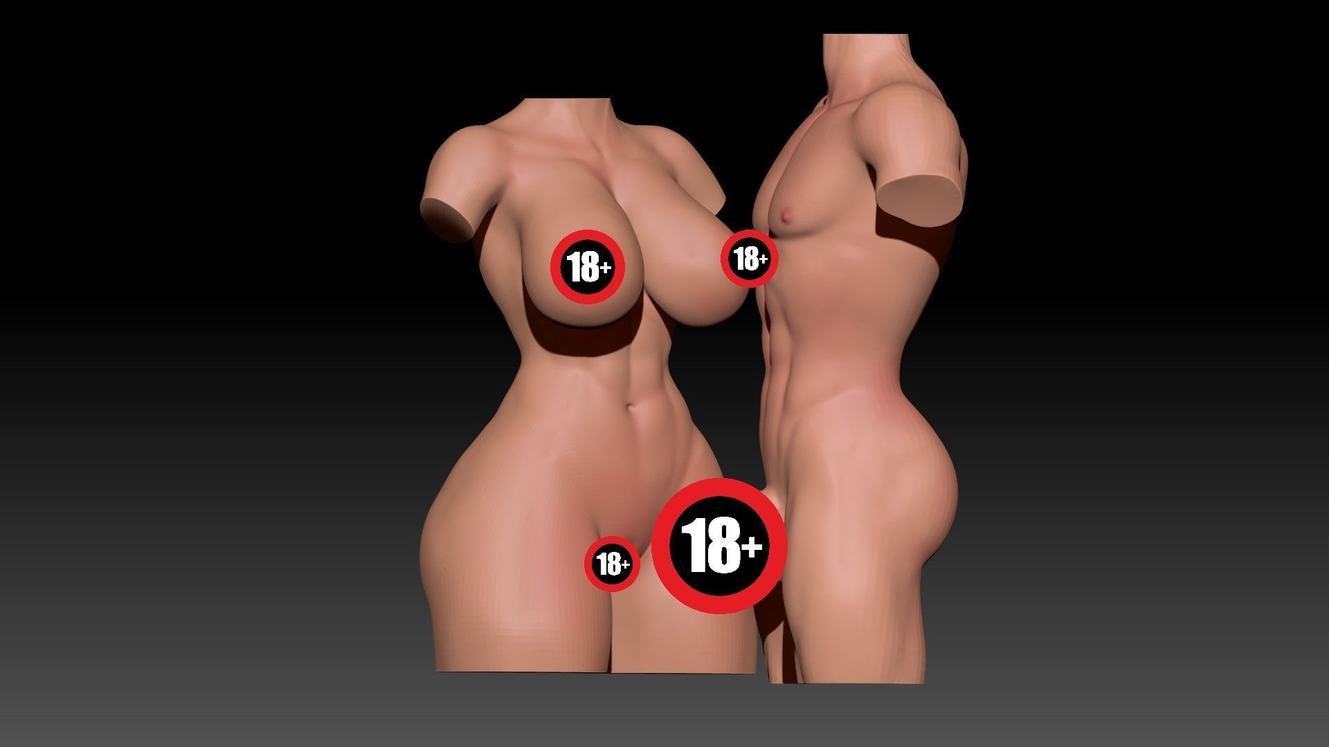 Woman and Man Torso  3D print model_2
