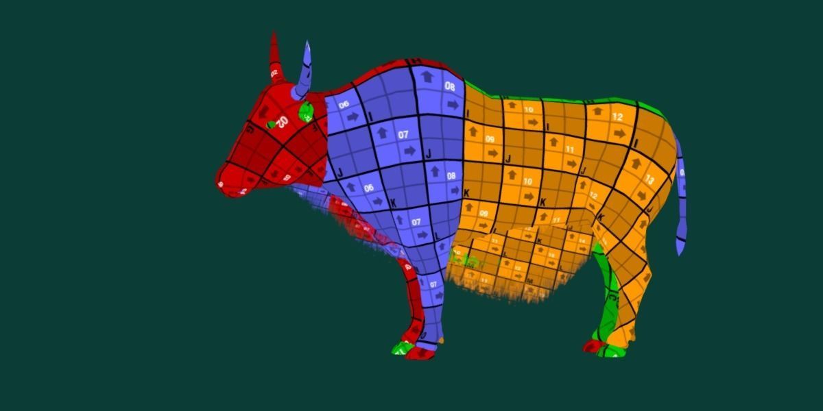 Domestic Yak Animals Low-poly 3D model_7