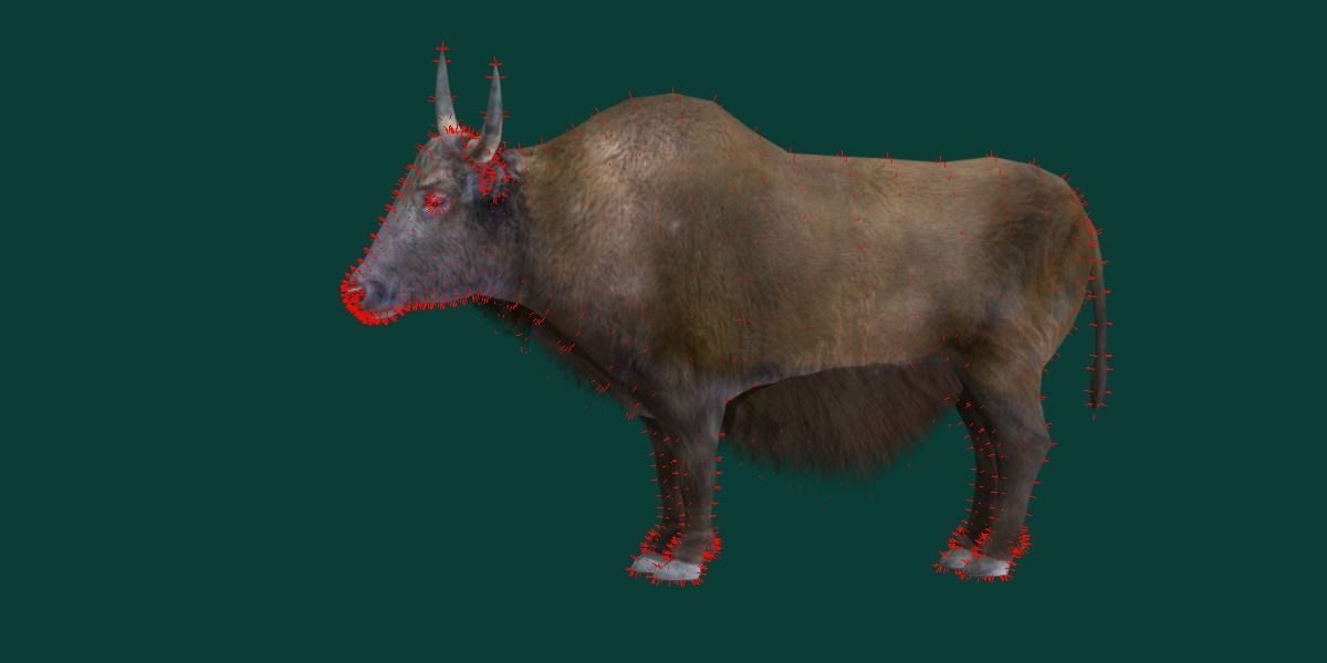 Domestic Yak Animals Low-poly 3D model_6